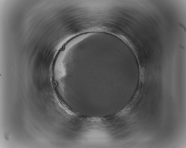 X0000100310862200806261200