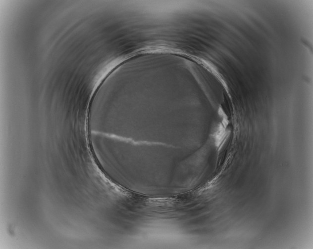 X0000100310863200806261200