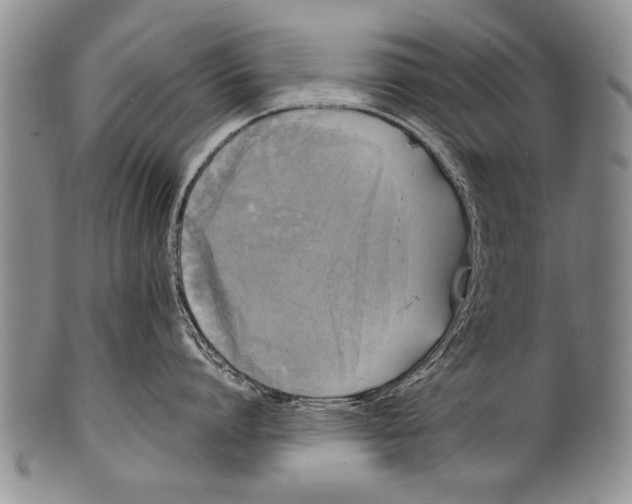 X0000100310864200806261200