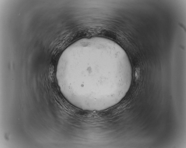 X0000100310867200806261200