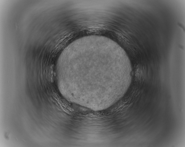 X0000100310868200806261200