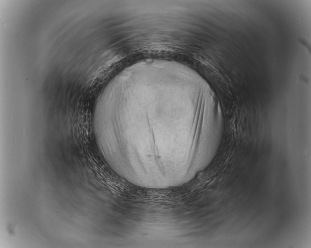 X0000100310870200806261200