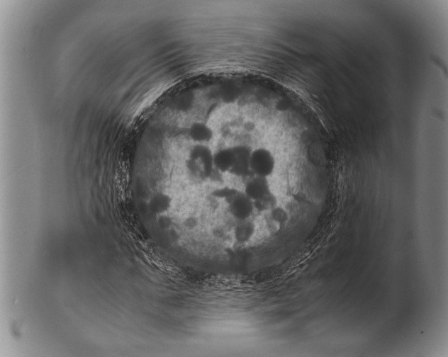 X0000100310871200806261200