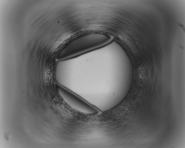 X0000100310872200806261200