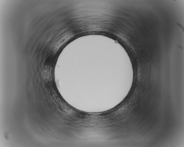 X0000100310873200806261200