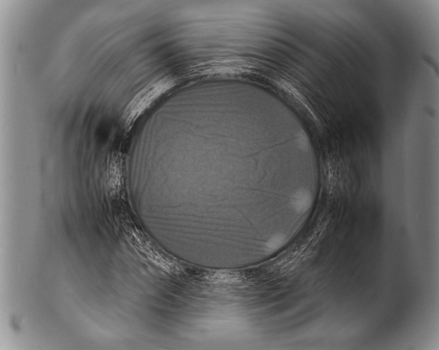 X0000100310874200806261200