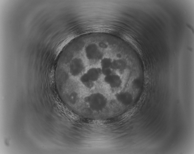 X0000100310875200806261200