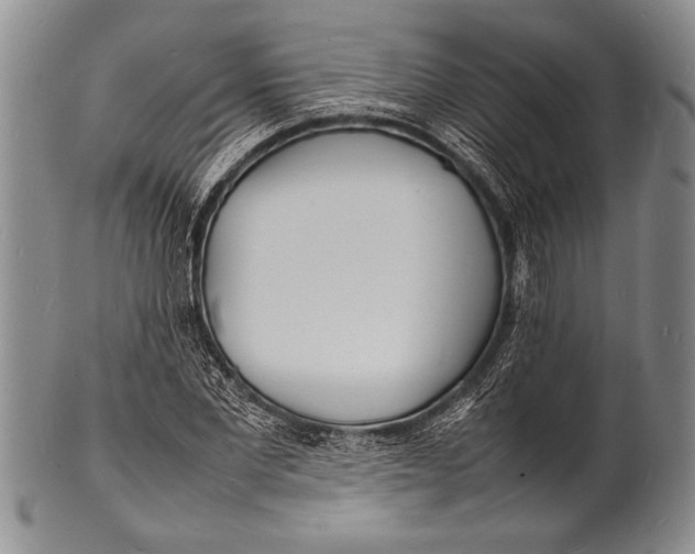 X0000100310877200806261200