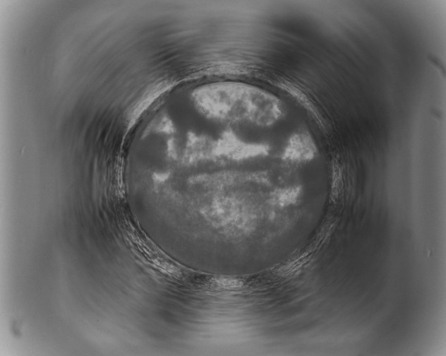 X0000100310878200806261159