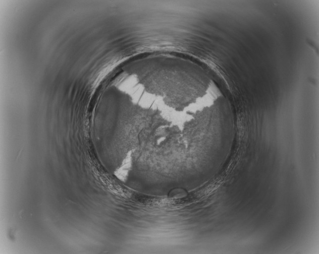 X0000100310879200806261159