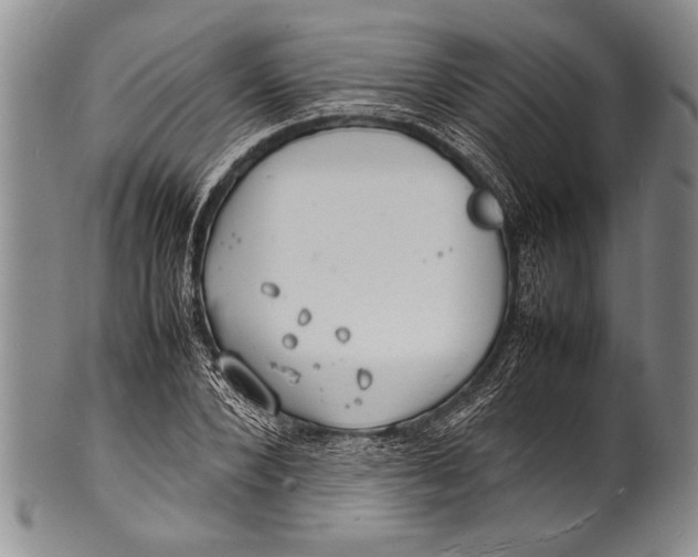 X0000100310880200806261159