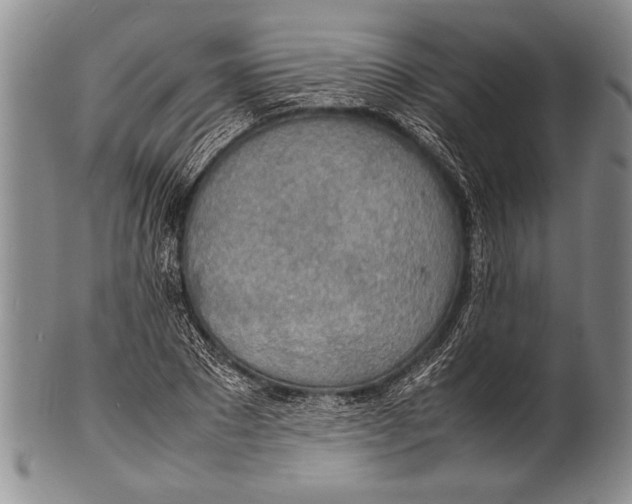 X0000100310881200806261159