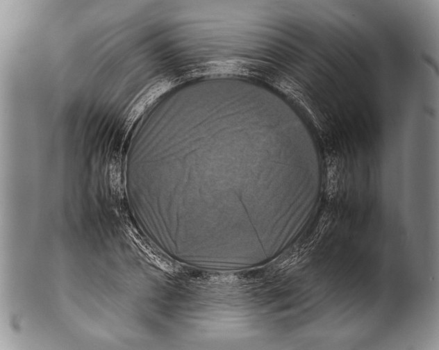 X0000100310882200806261159