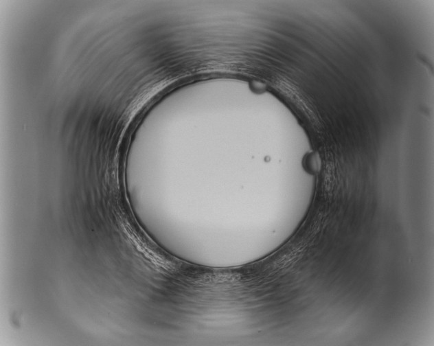 X0000100310884200806261159