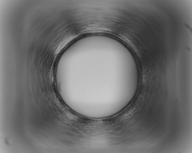 X0000100310885200806261159