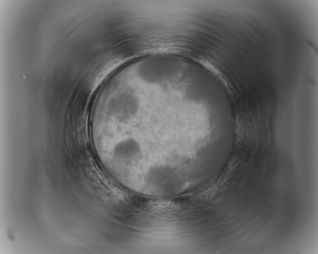 X0000100310886200806261159