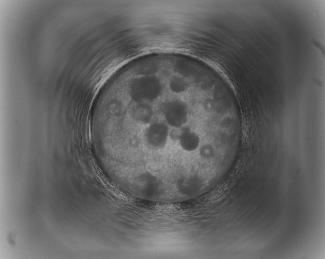 X0000100310887200806261159