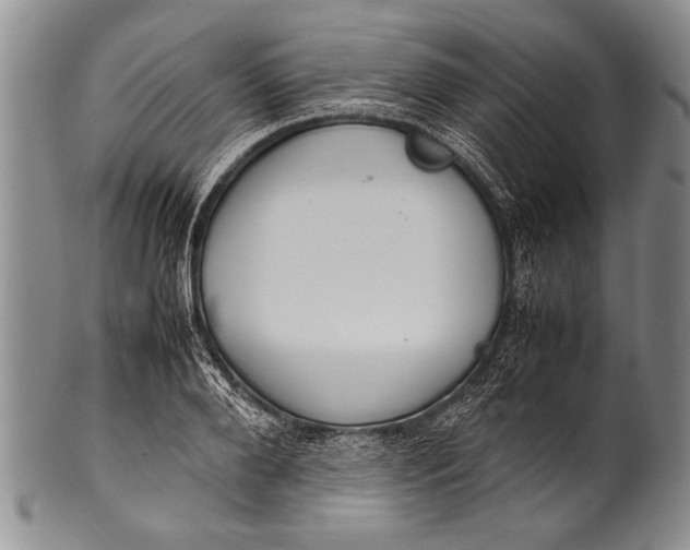 X0000100310888200806261159