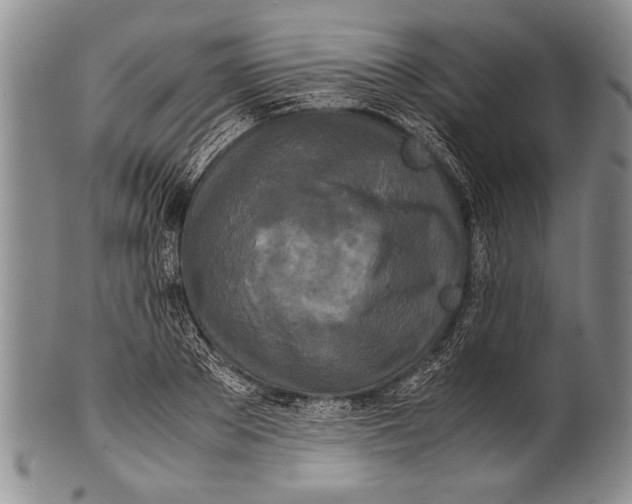 X0000100310889200806261159