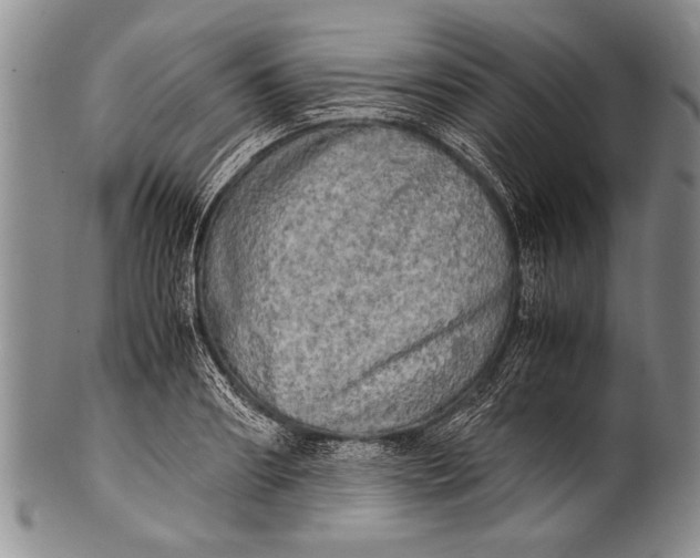 X0000100310890200806261159