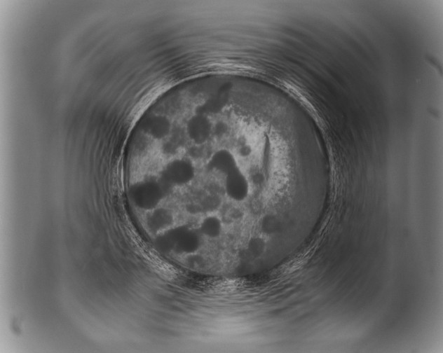 X0000100310891200806261159