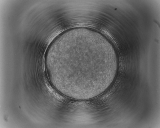 X0000100310892200806261159