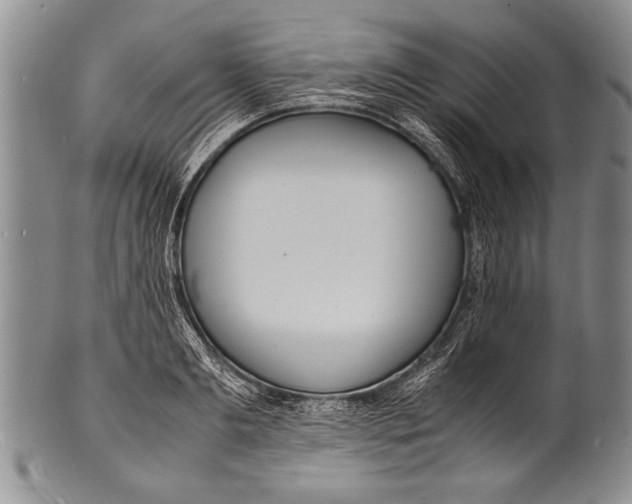 X0000100310893200806261159