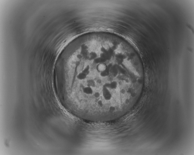 X0000100310895200806261159