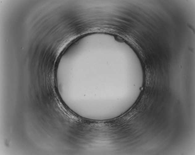 X0000100310896200806261159