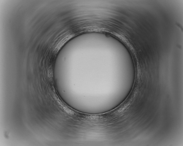 X0000100310897200806261159