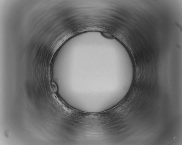 X0000100310898200806261159