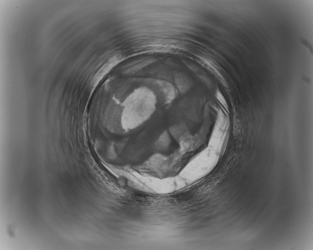 X0000100310899200806261159