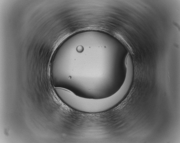 X0000100310900200806261159