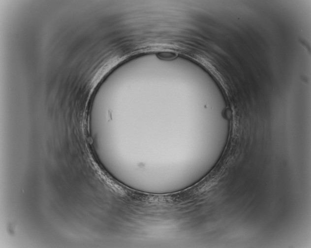 X0000100310901200806261159