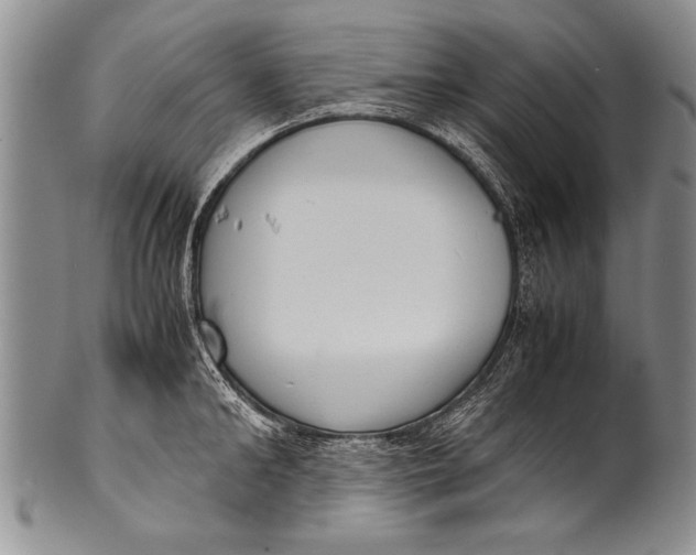 X0000100310902200806261159