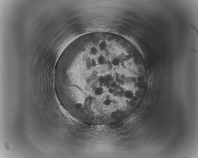 X0000100310903200806261159