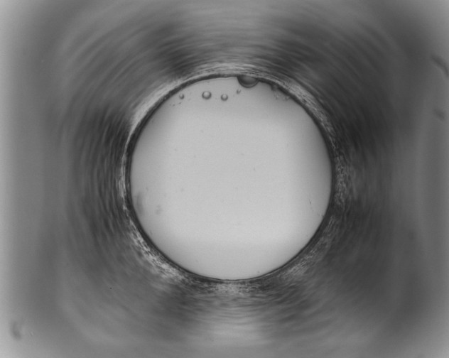 X0000100310904200806261159