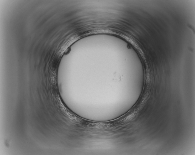 X0000100310905200806261159