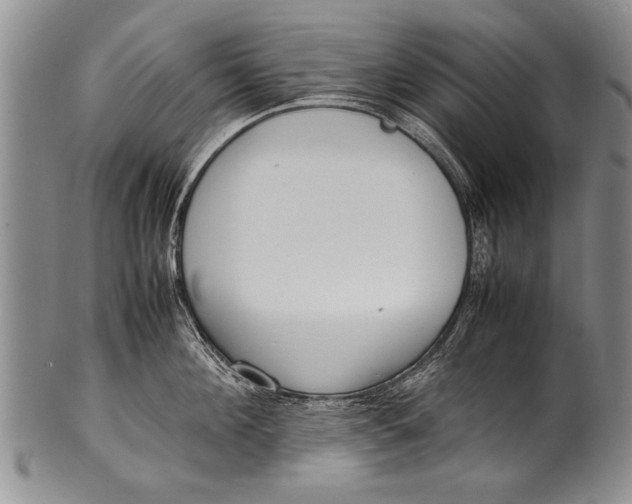 X0000100310908200806261159