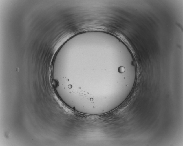 X0000100310909200806261159