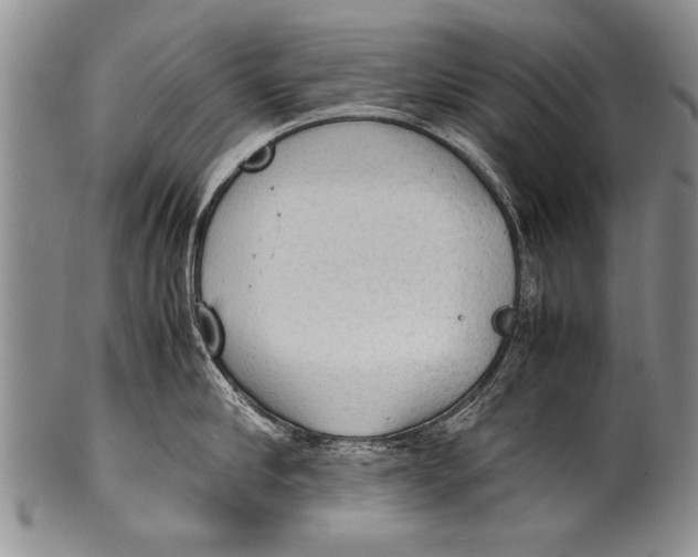 X0000100310910200806261159