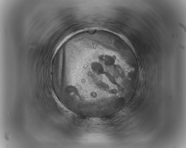 X0000100310911200806261159