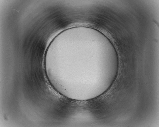 X0000100310912200806261159