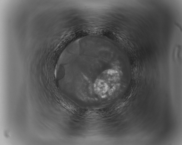 X0000100310913200806261158