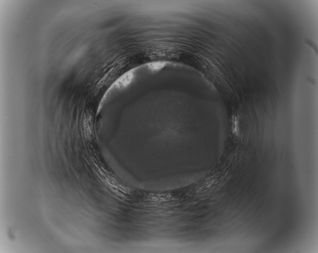 X0000100310915200806261158