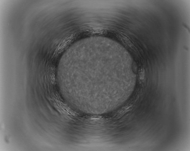 X0000100310916200806261158