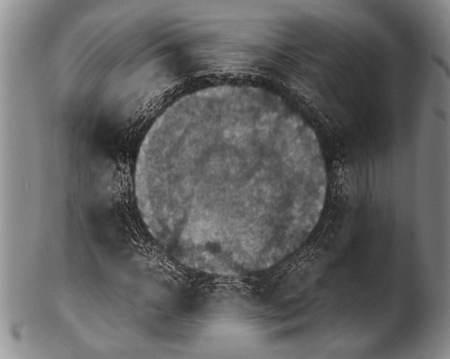 X0000100310918200806261158