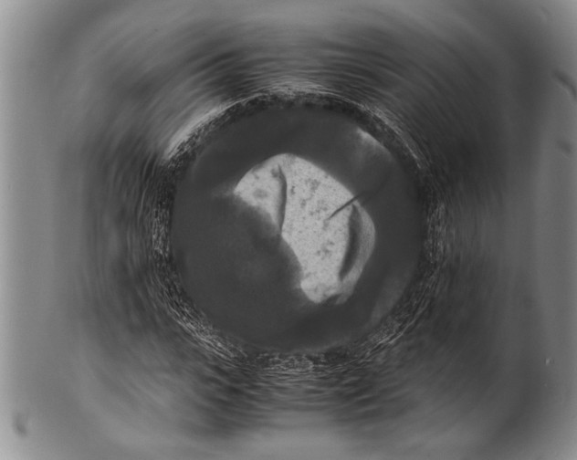 X0000100310919200806261158