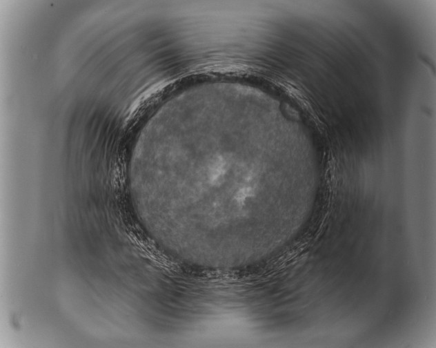 X0000100310920200806261158