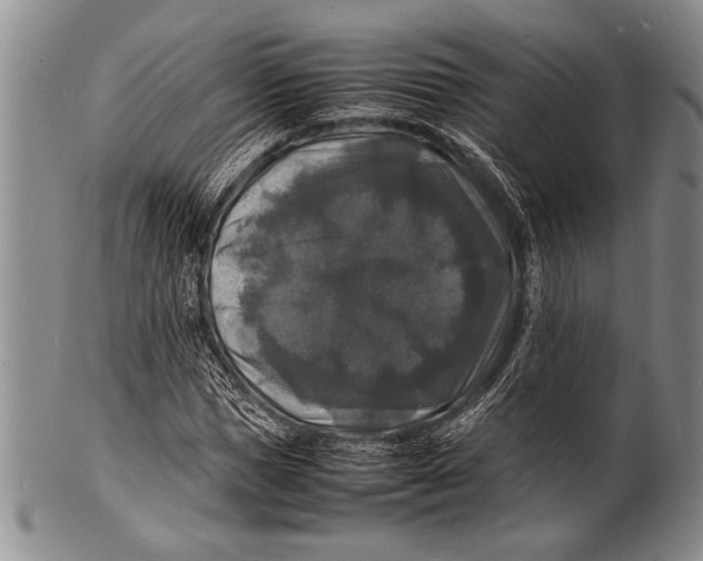 X0000100310921200806261158